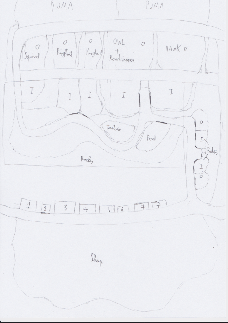 First sketch of the Sonora desert area