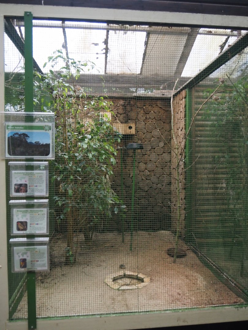 First small Australian aviary, 2024-05-22
