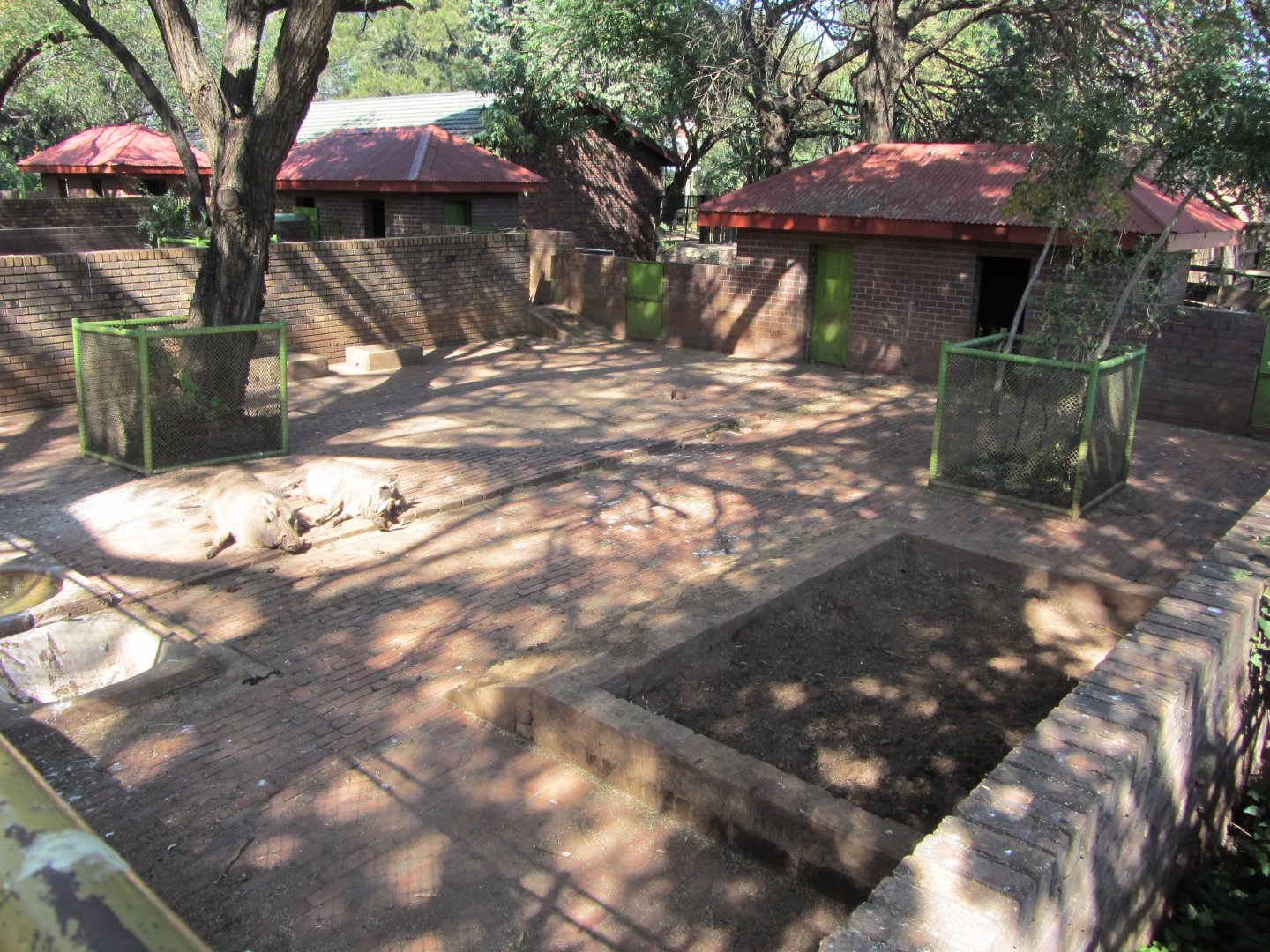 First Southern Warthog Yard