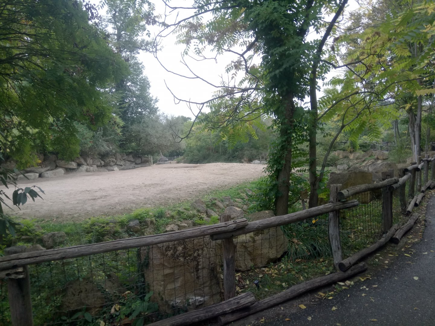 First Southern White Rhinoceros Exhibit