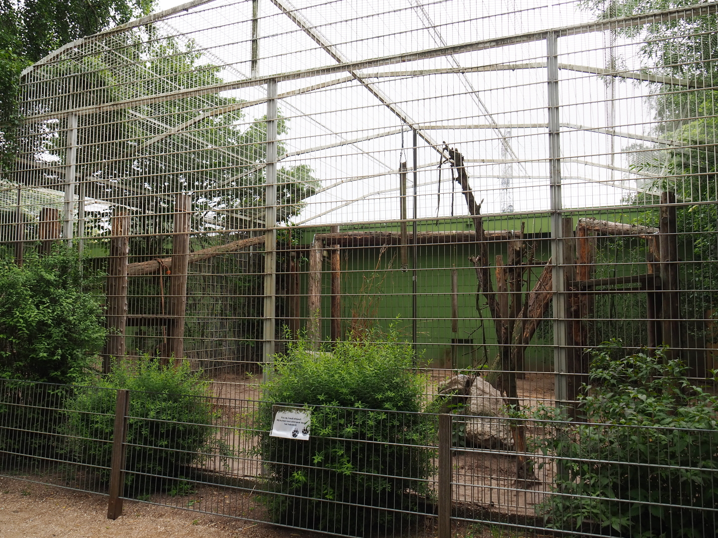 First Sri Lankan leopard exhibit, 2019-05-25