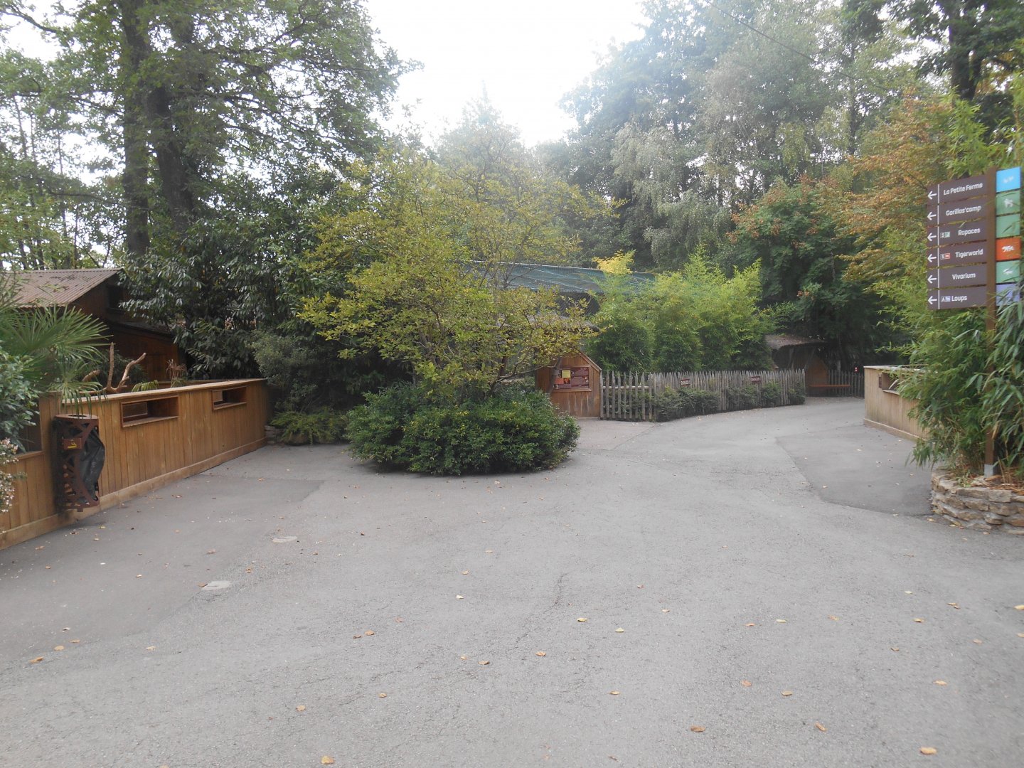 First steps in the zoo...