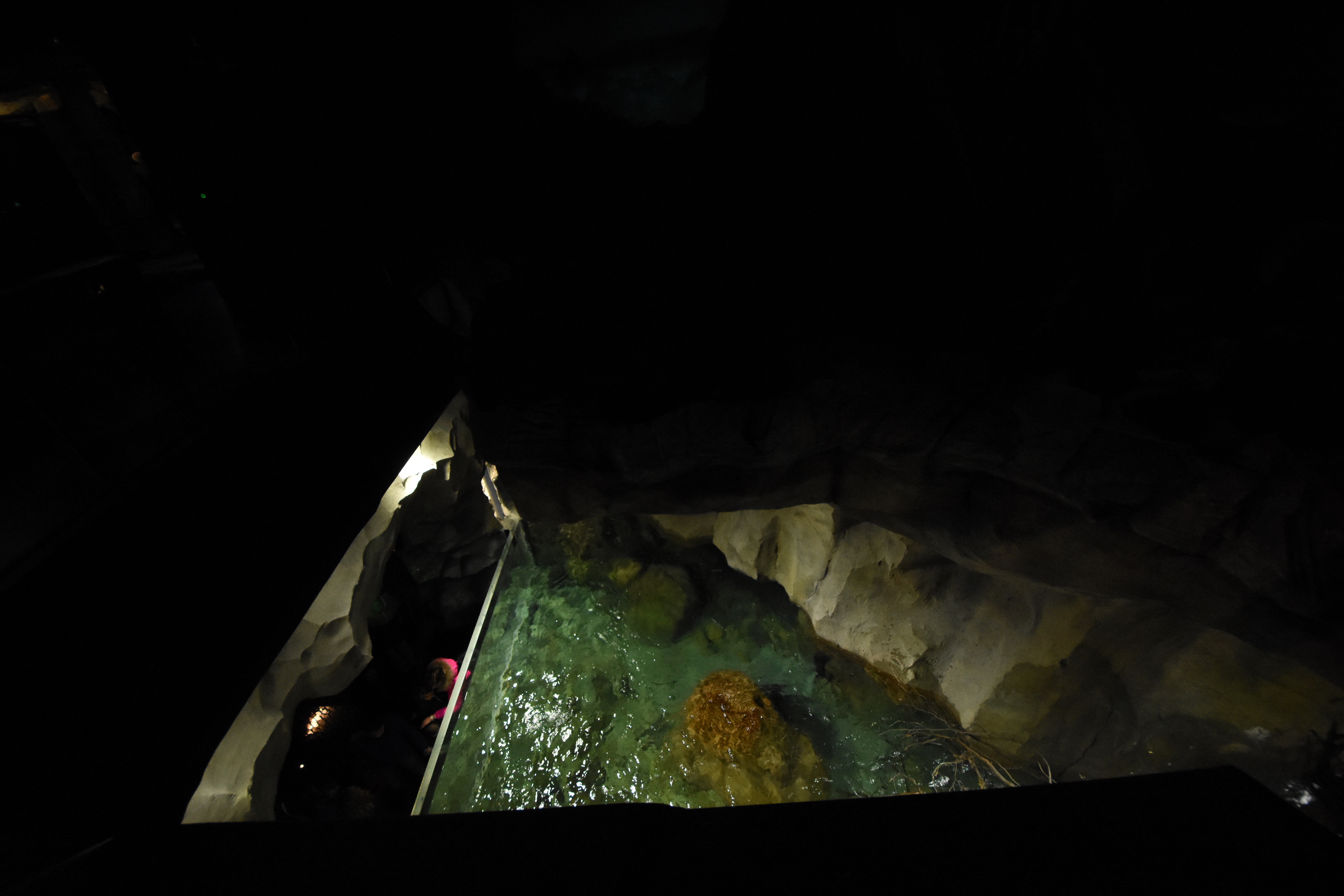 First tank from above