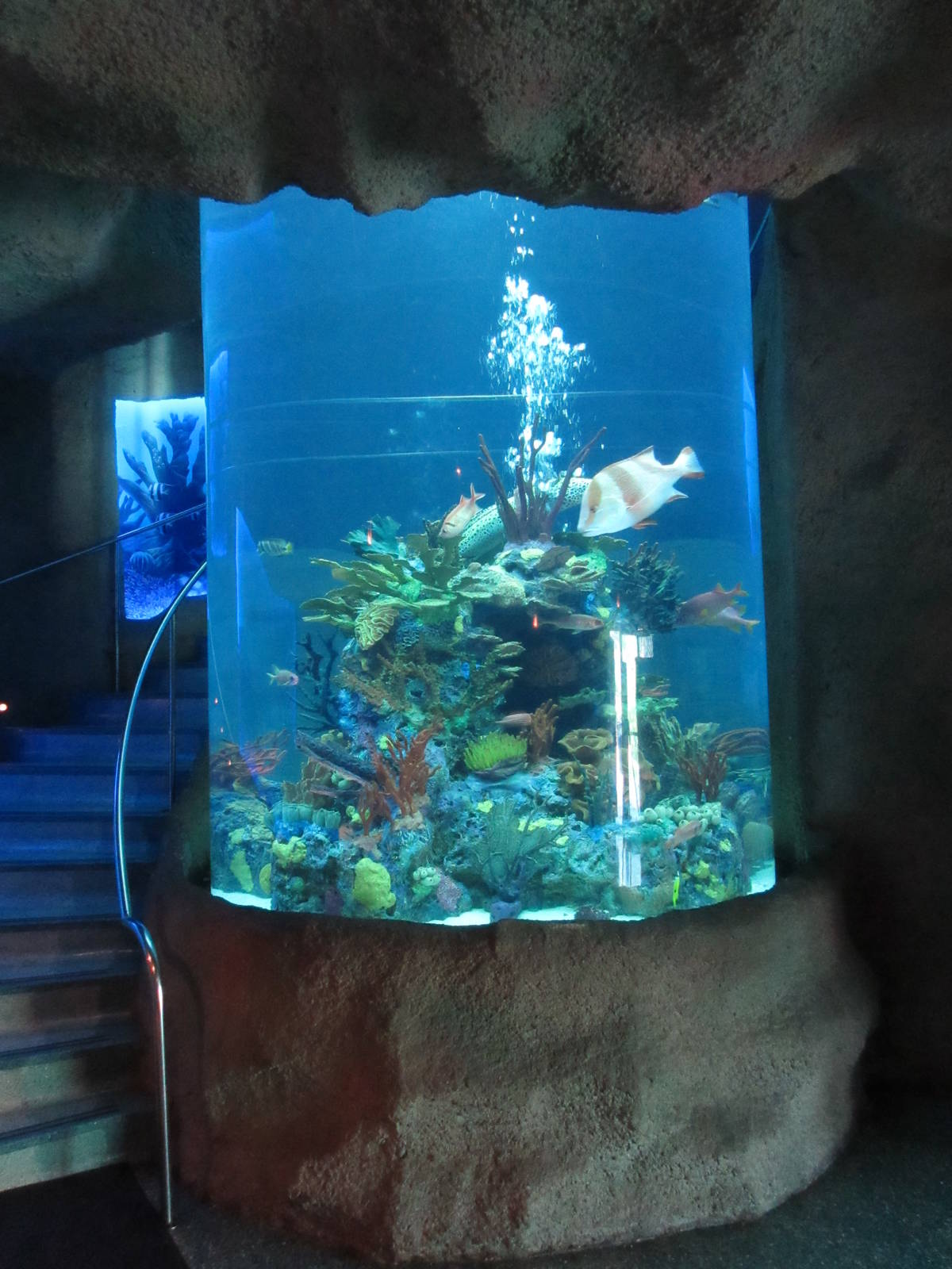 First Tank (stairs lead upstairs to restaurant)