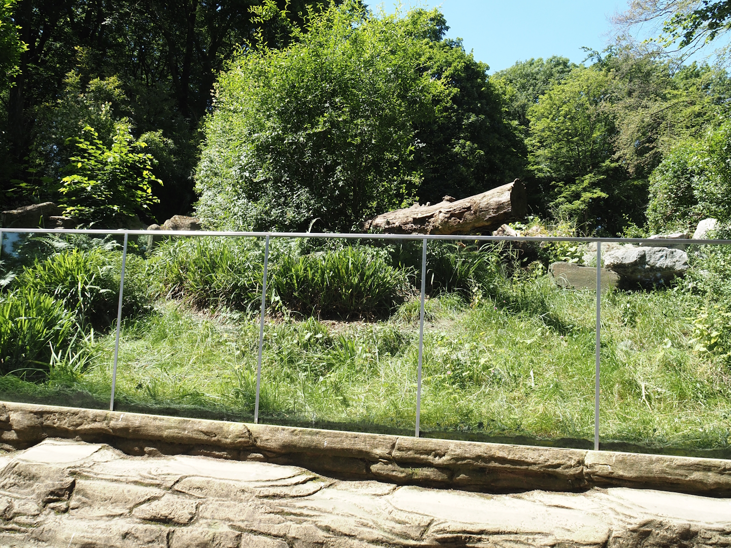 First Tasmanian devil exhibit, 2024-06-08