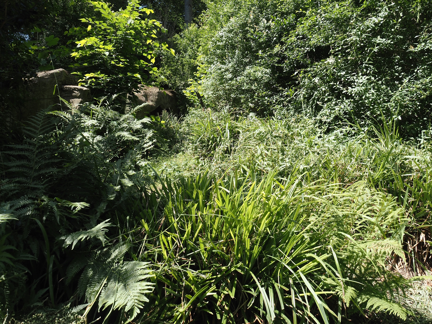 First Tasmanian devil exhibit, 2024-06-08