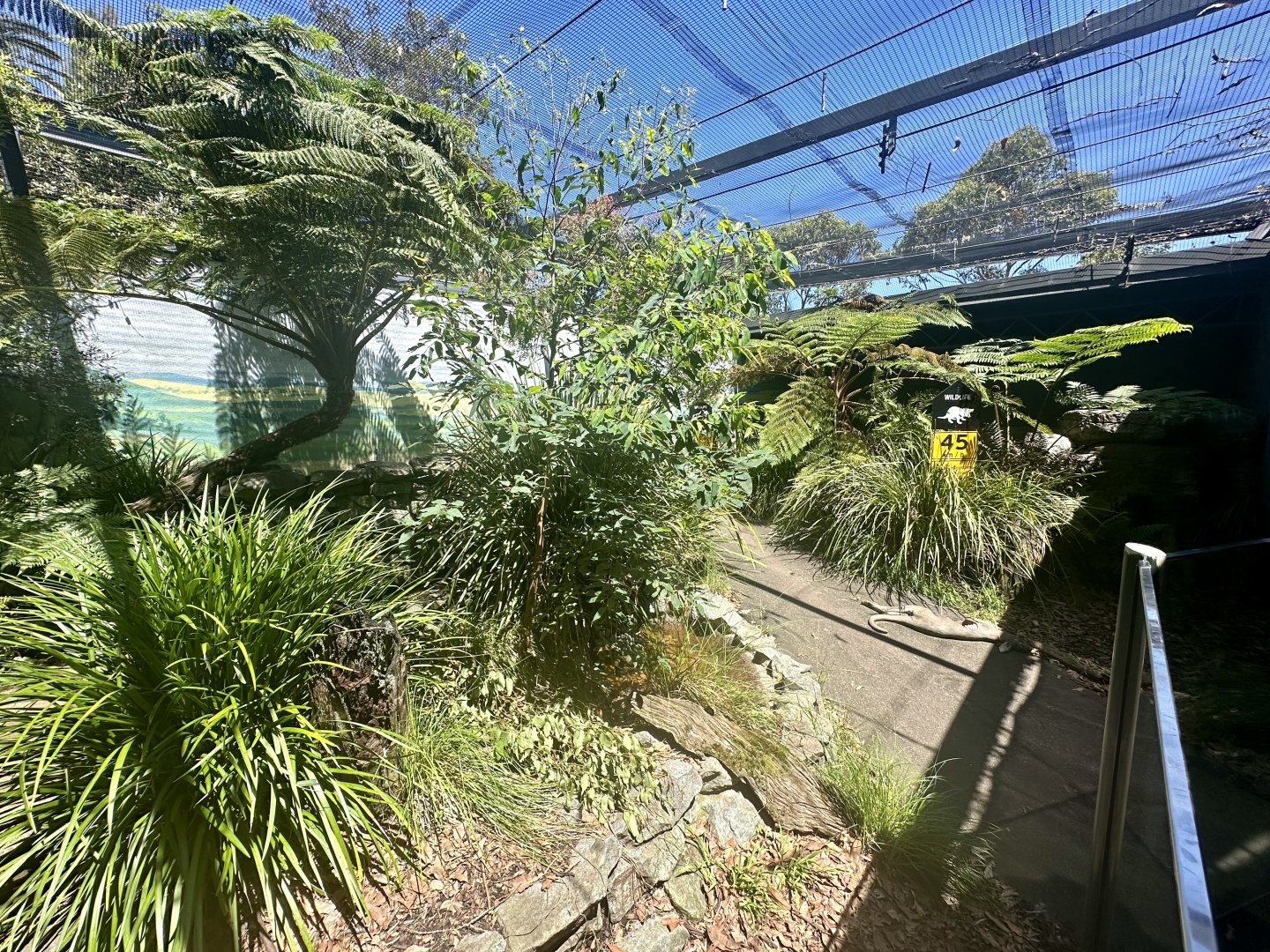 First Tasmanian Devil Exhibit