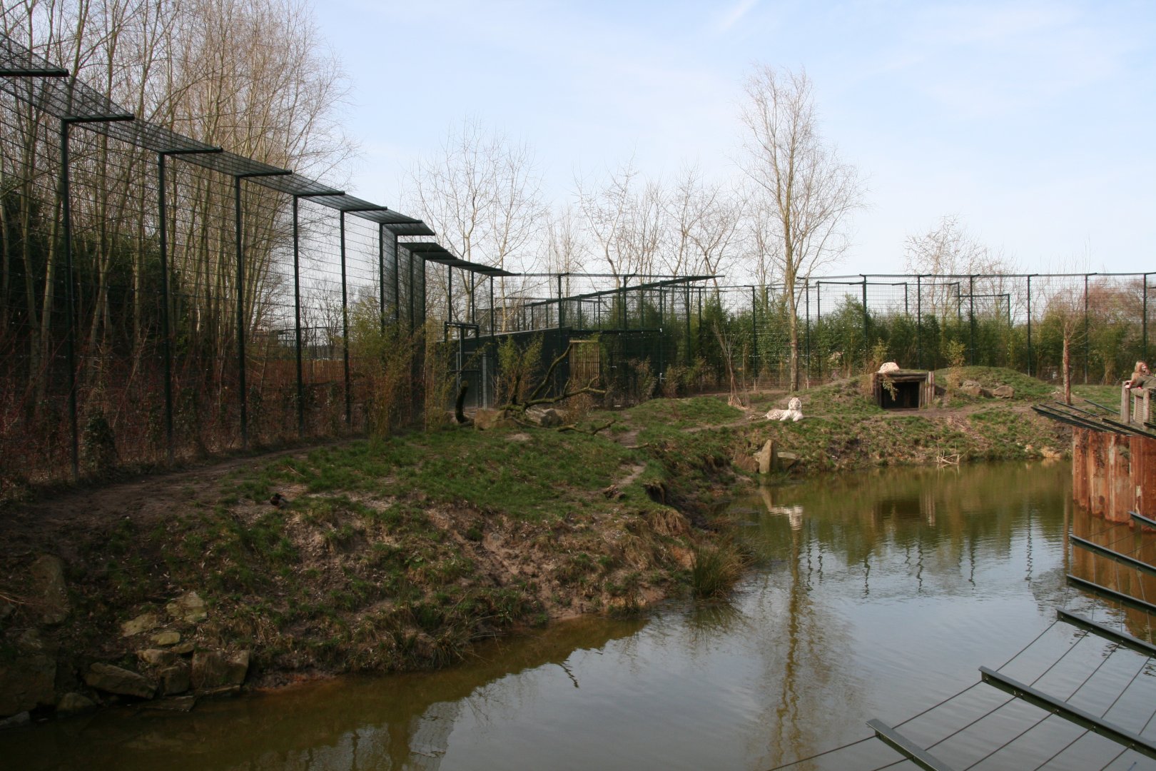 first tiger enclosure