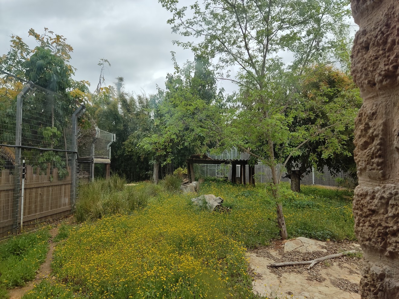 First Tiger Exhibit 1