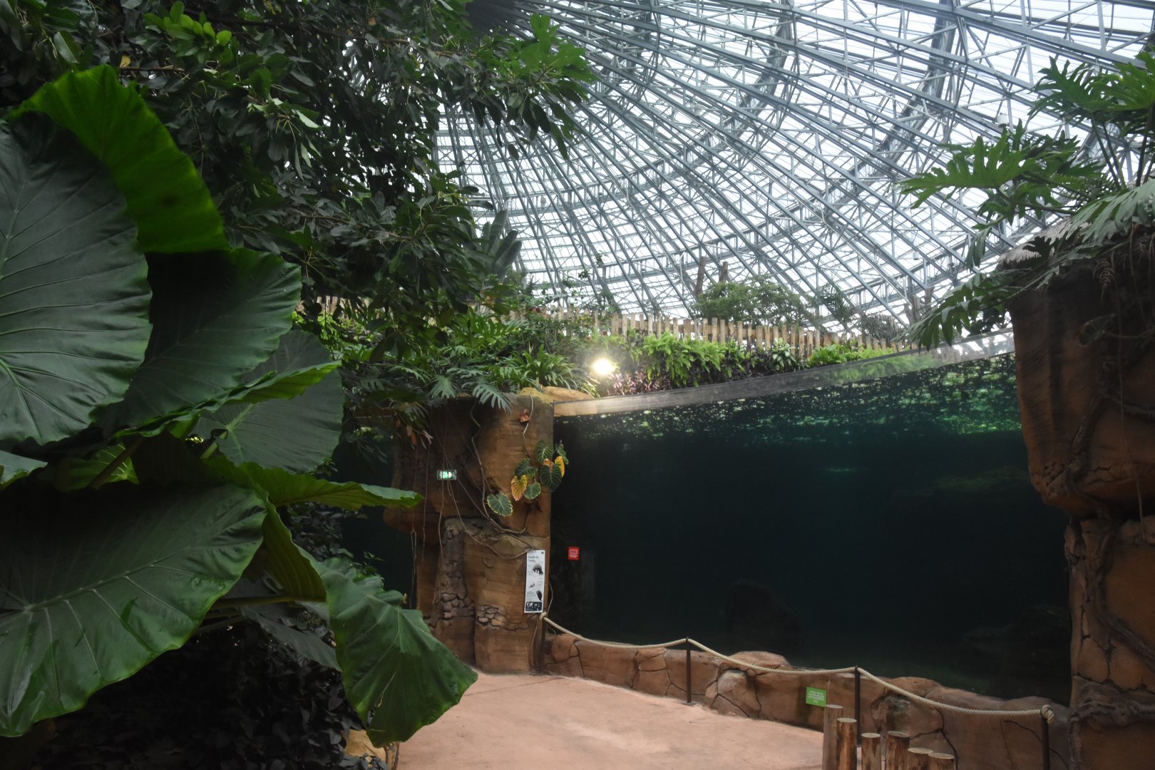 First view after entering dome