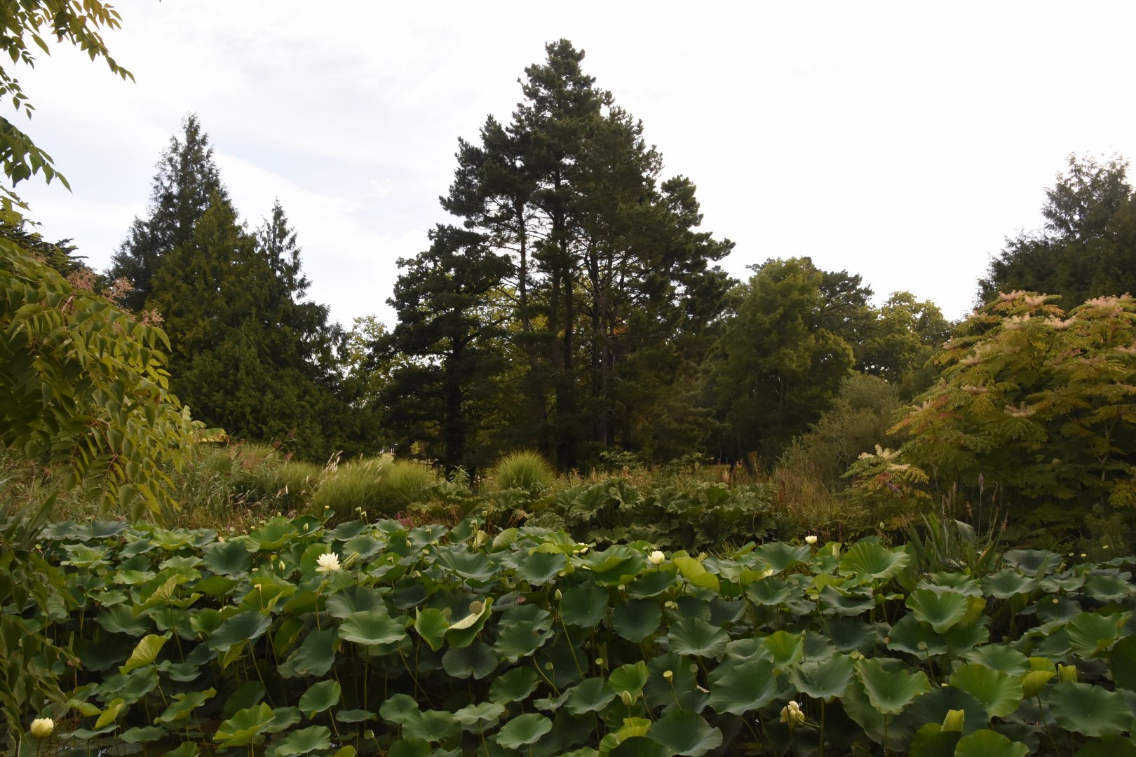 First view after entrance