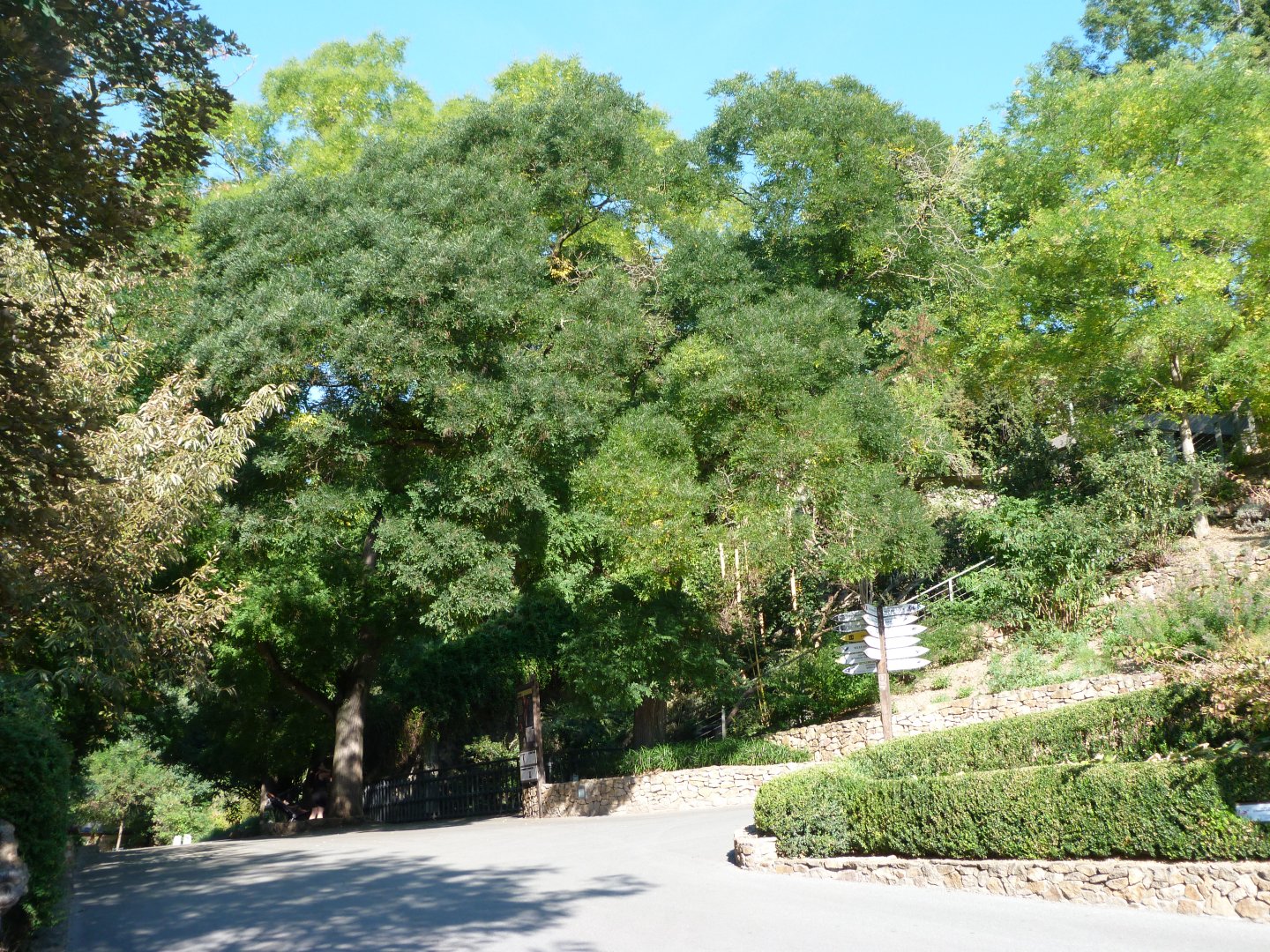 First view at the entrance -Zoo Praha (2025)