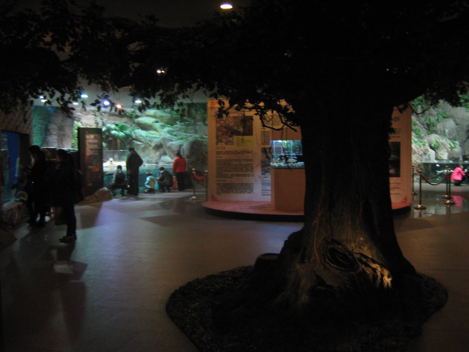 first view into the Aquarium