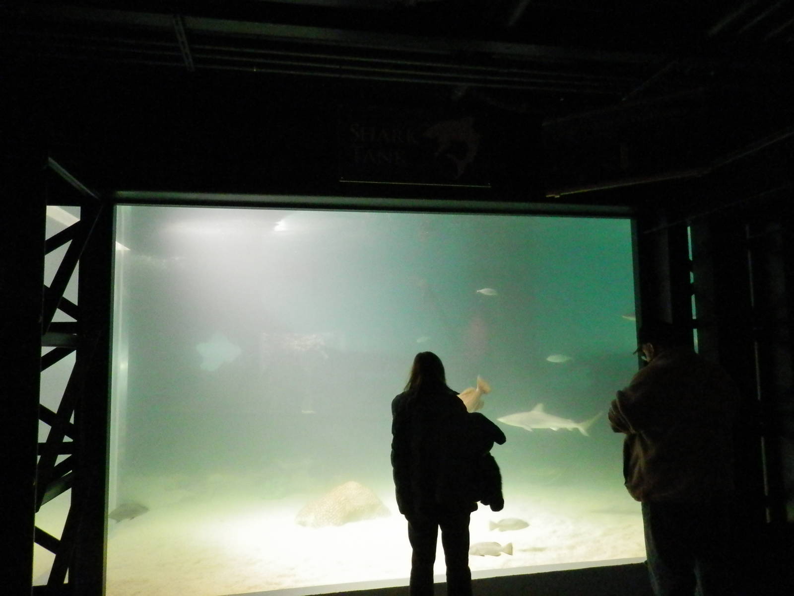 First view of Main Tank