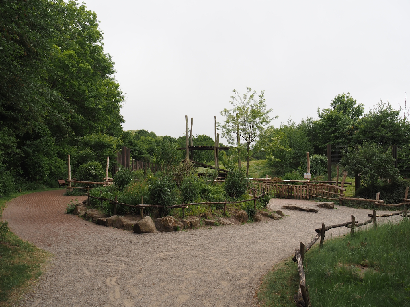 First viewing area for the Indian sloth bear and European golden jackal exhibit, 2025-05-22