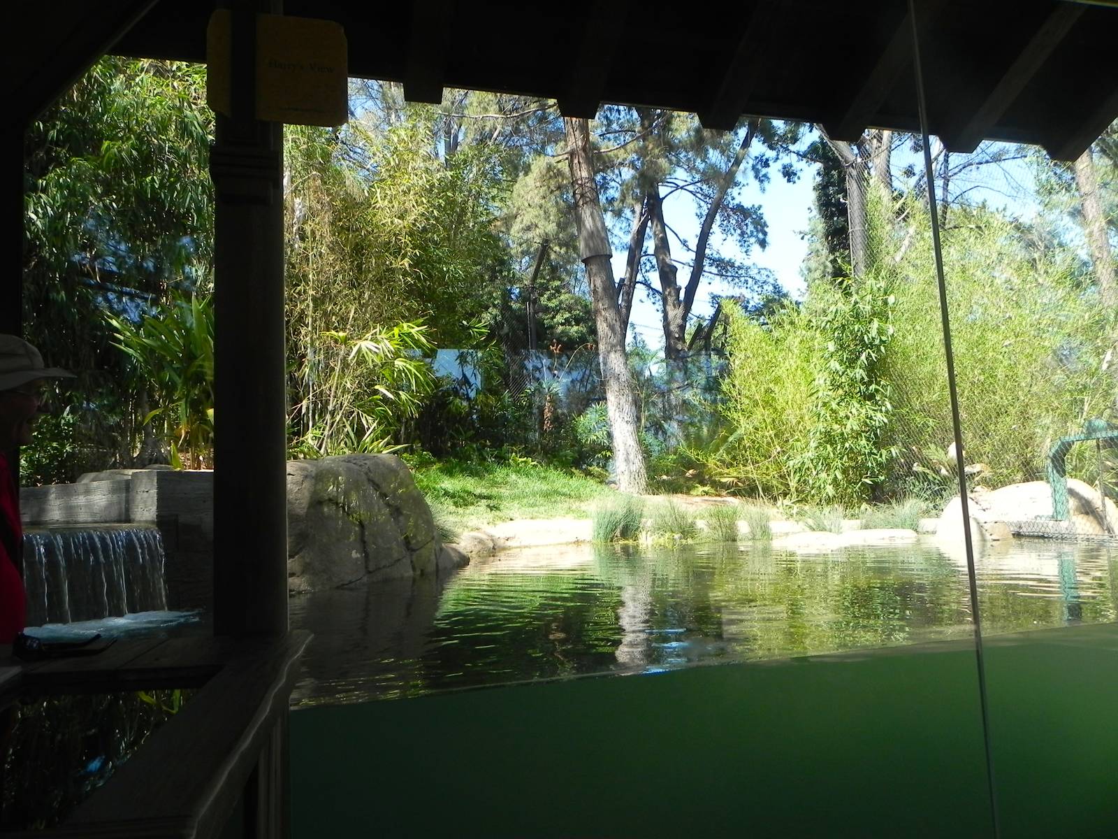 First viewing area of yard 2 Tiger Trail