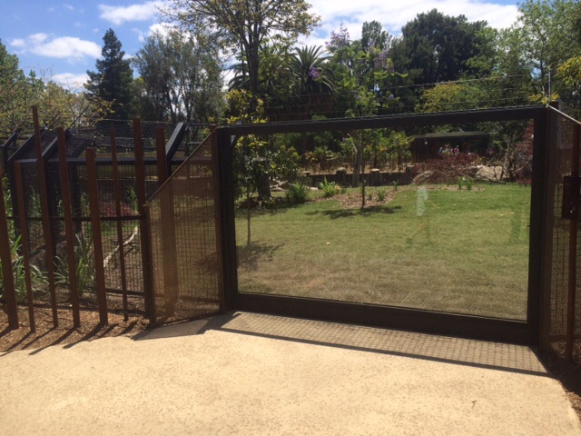 First viewing window of lion gorge, hunting dog exhibit.