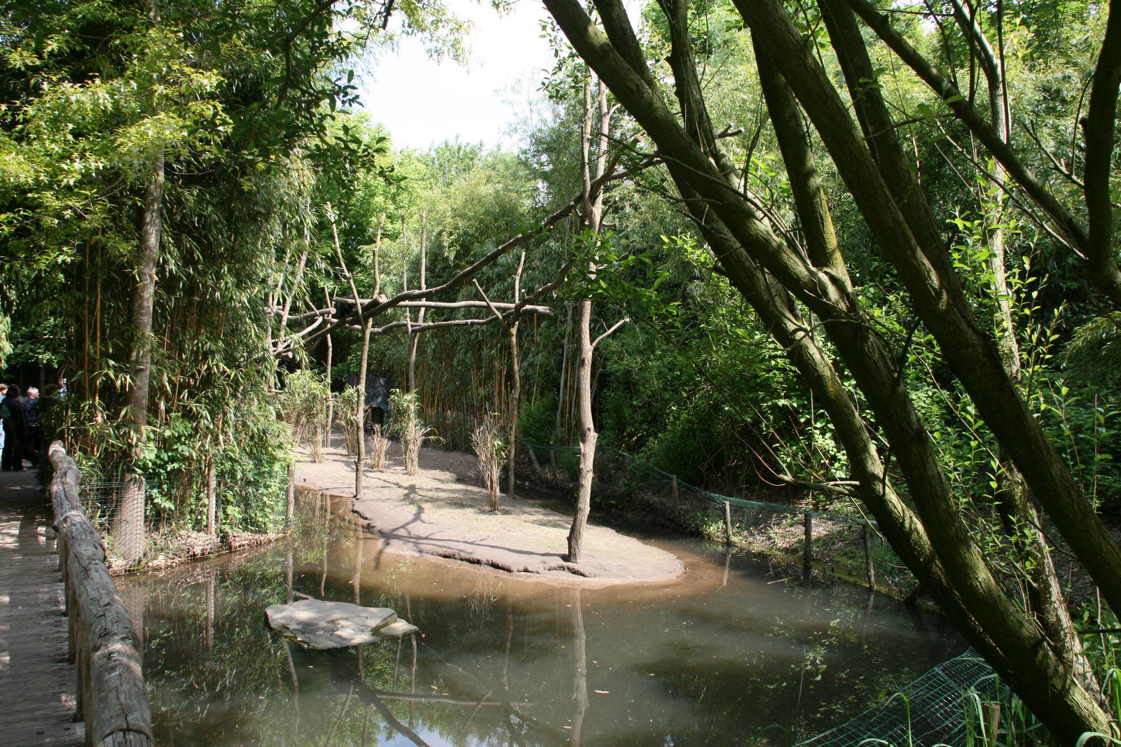 first viewpoint of the New Binturong and  Asian smal-clawed otter exhibit