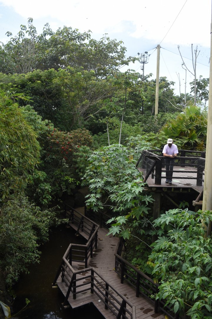 First walkthrough aviary