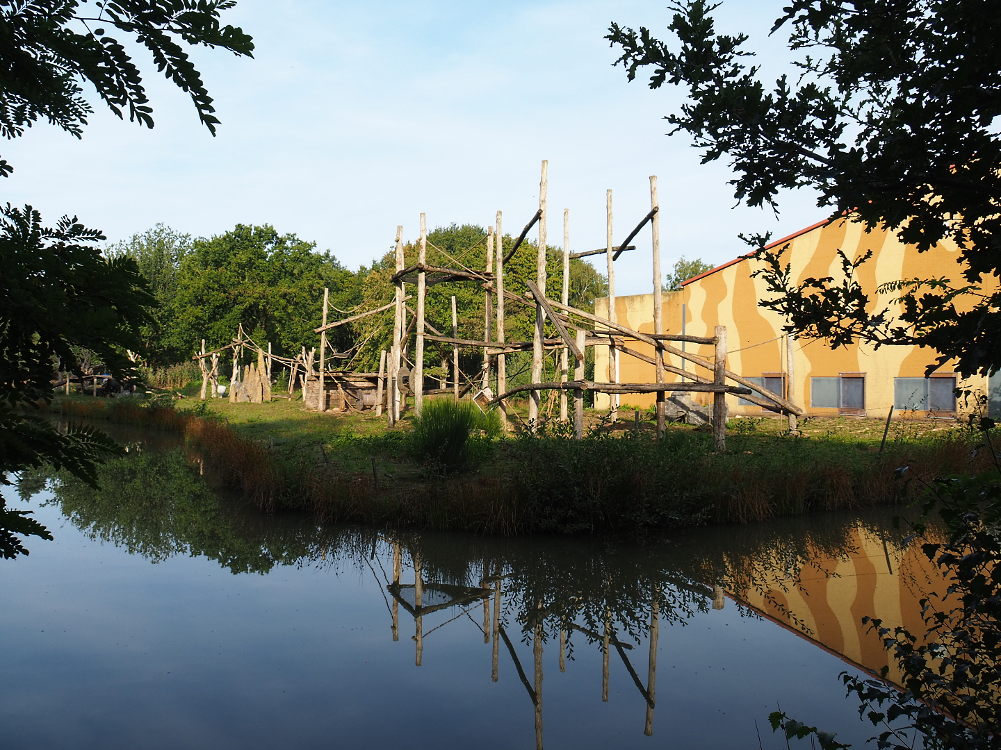 First Western chimpanzee island, 2019-09-15