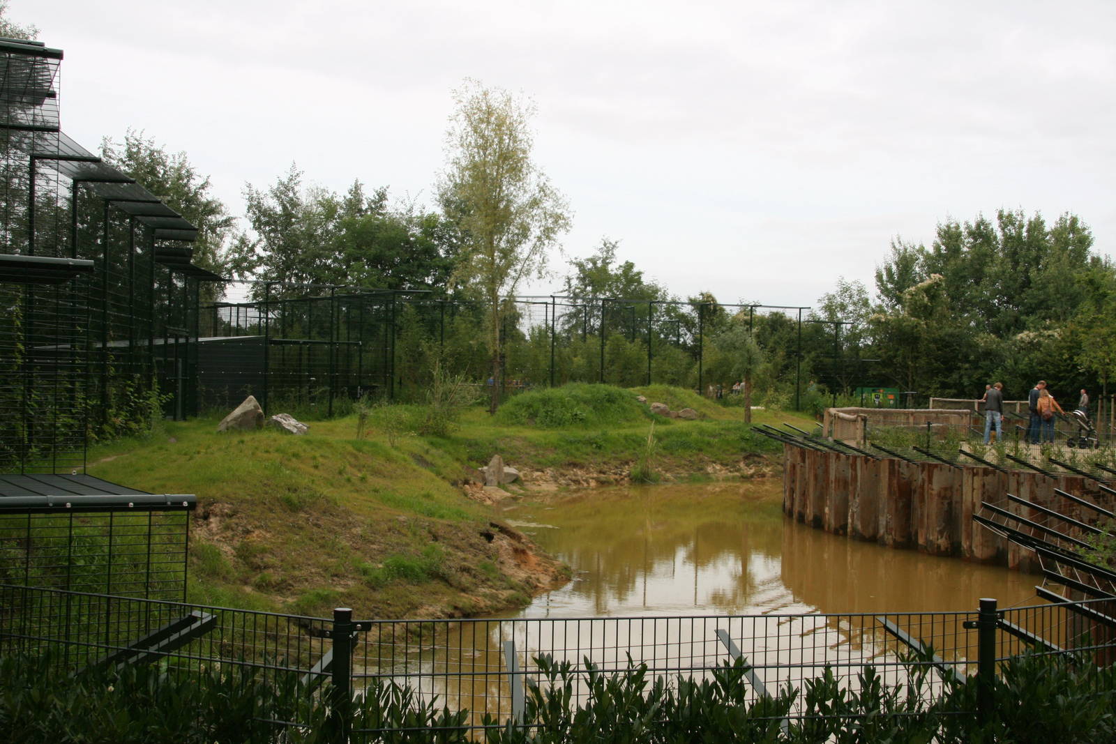 first white tiger exhibit