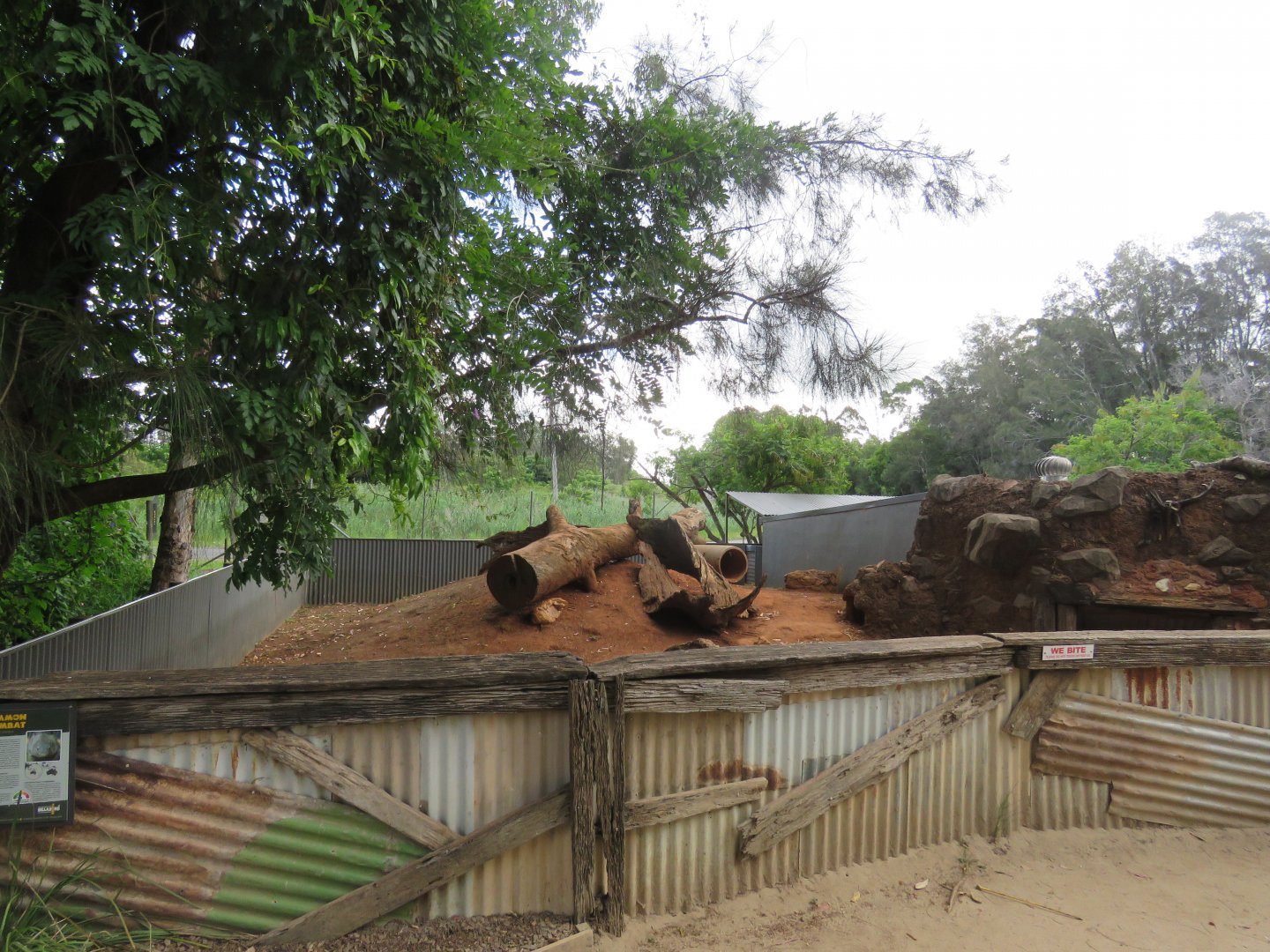 First Wombat Enclosure