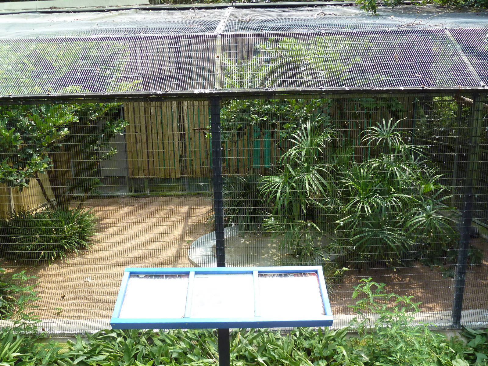 Fischer Bird Garden - Hawaiian Hawk Exhibit