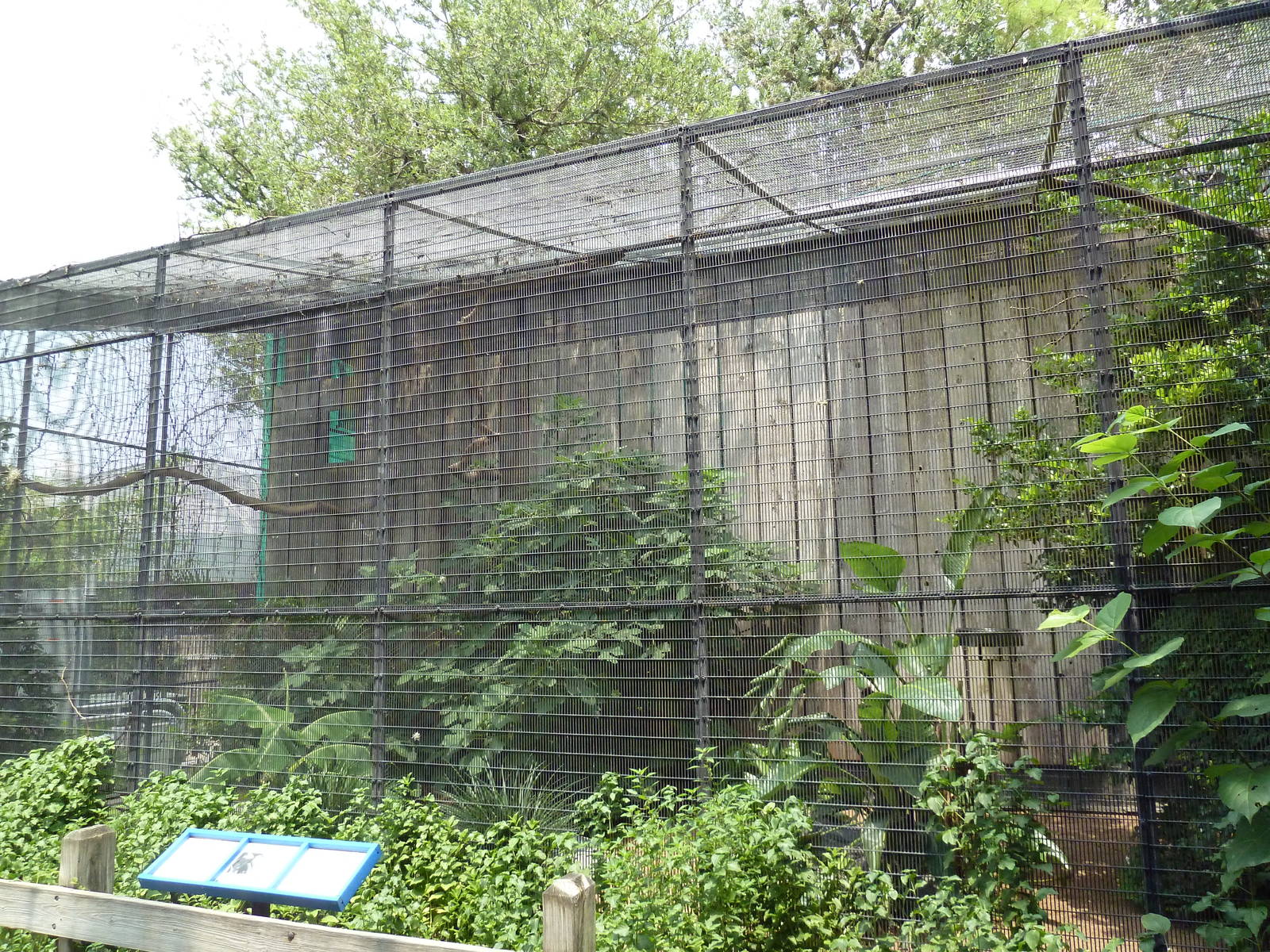 Fischer Bird Garden - Rhinoceros Hornbill Exhibit