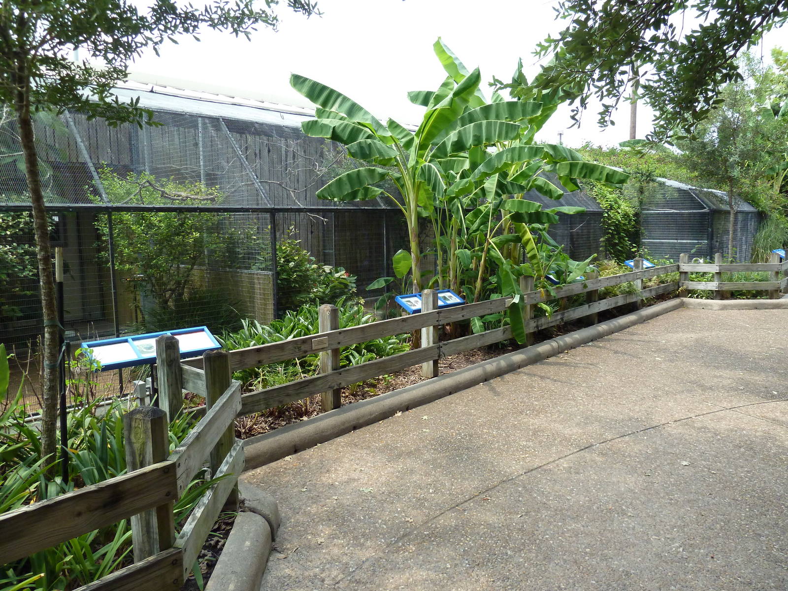 Fischer Bird Garden