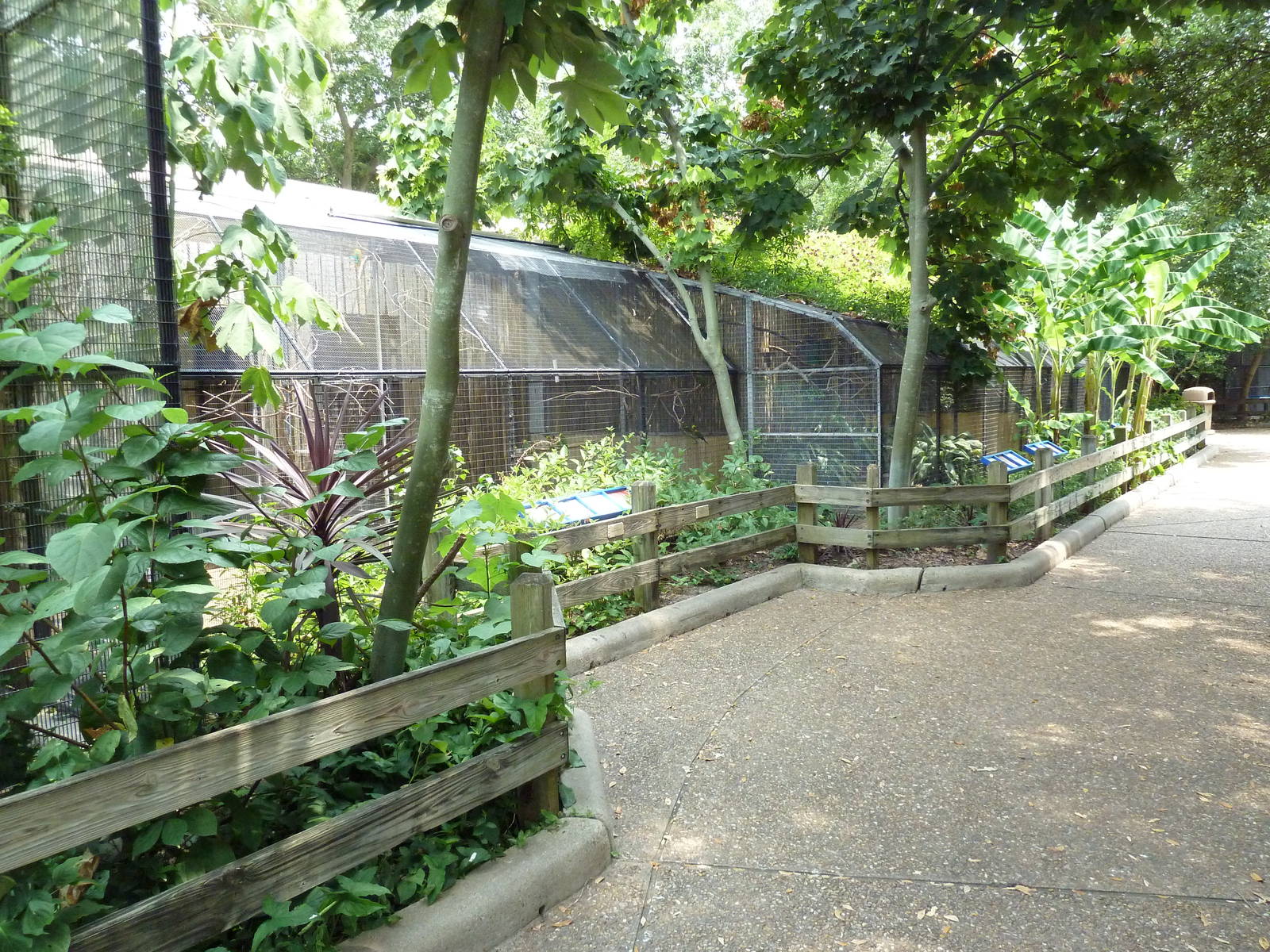 Fischer Bird Garden