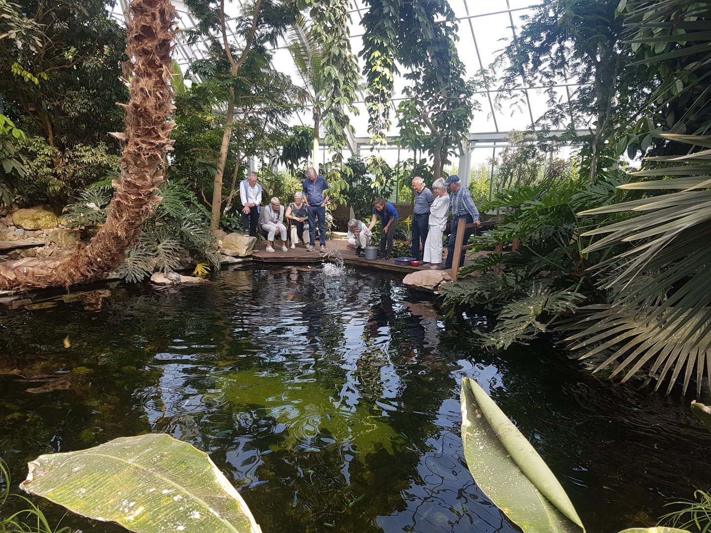 Fish and turtle feeding