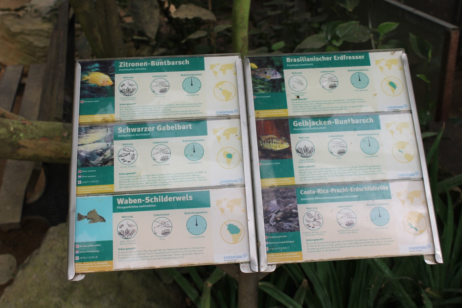 Fish ( and turtle ) signs