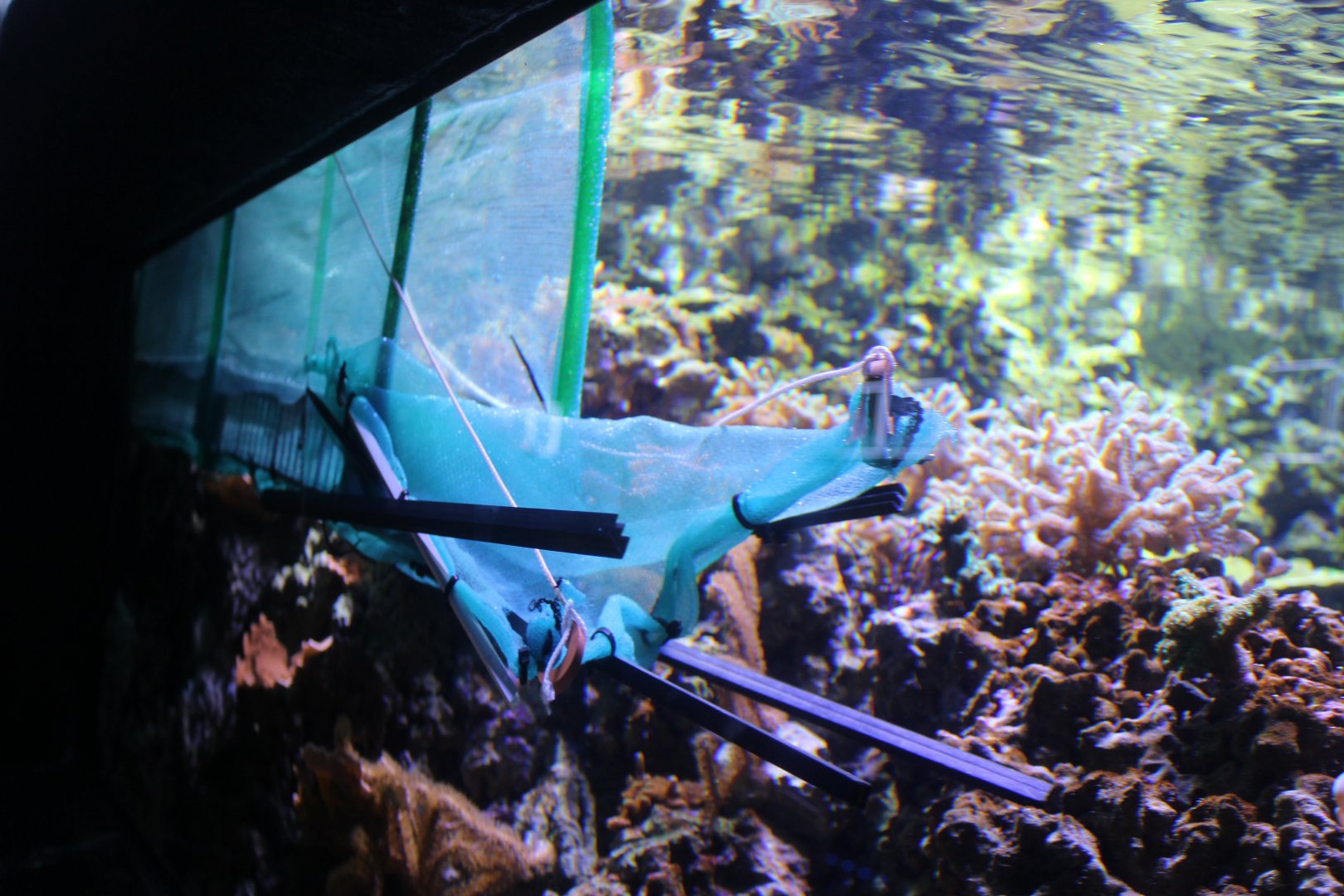 fish apparatus, Chester Zoo 11th February 2017