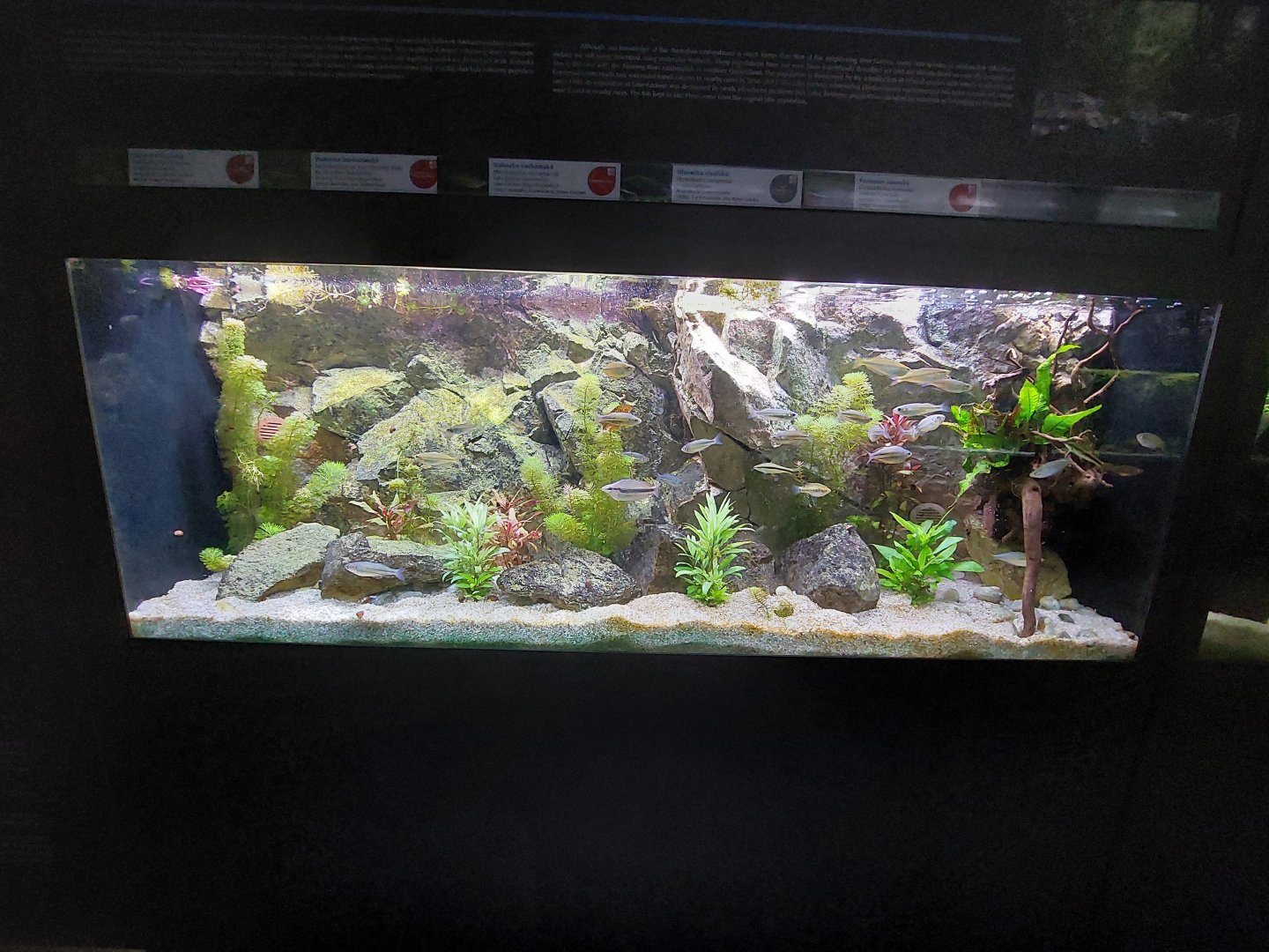 Fish Ark - Australia