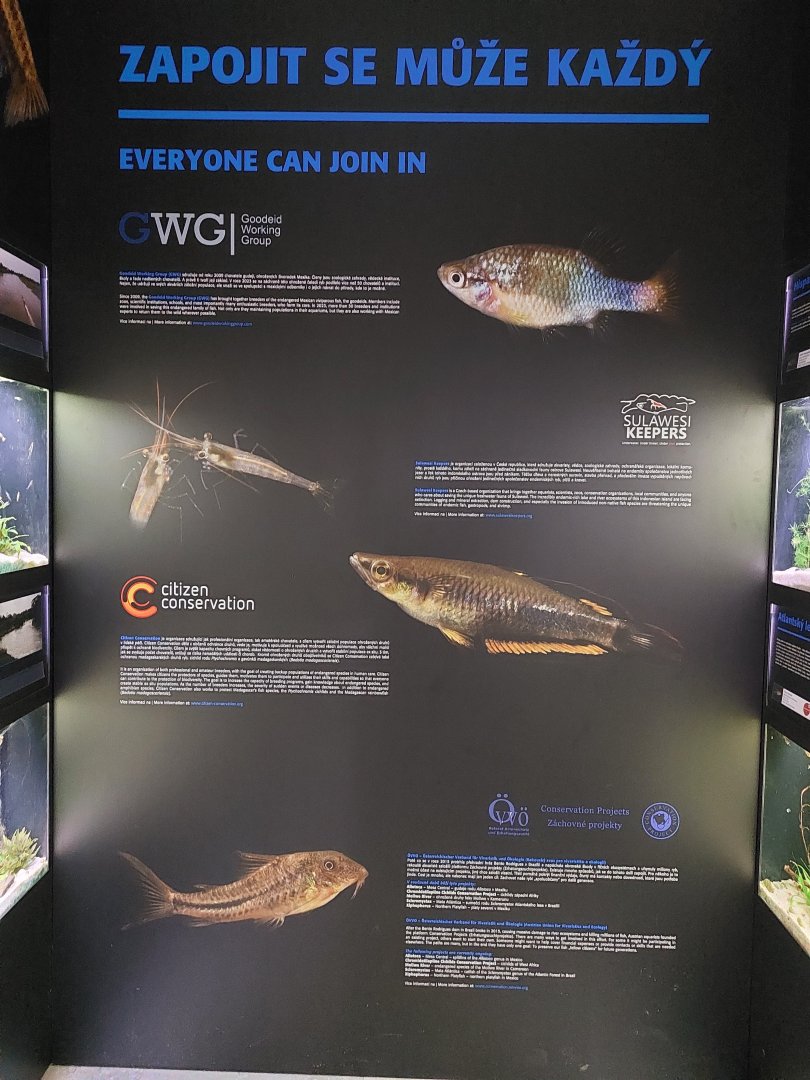 Fish Ark - Educational sign #2