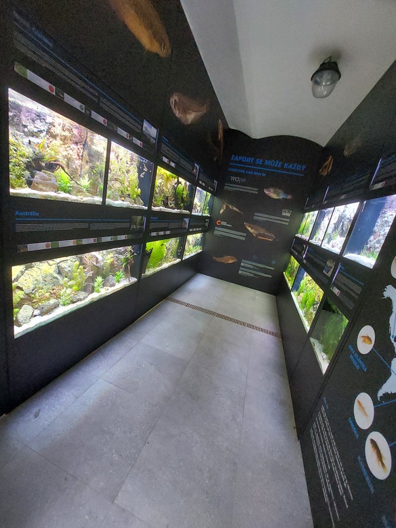 Fish Ark - general look