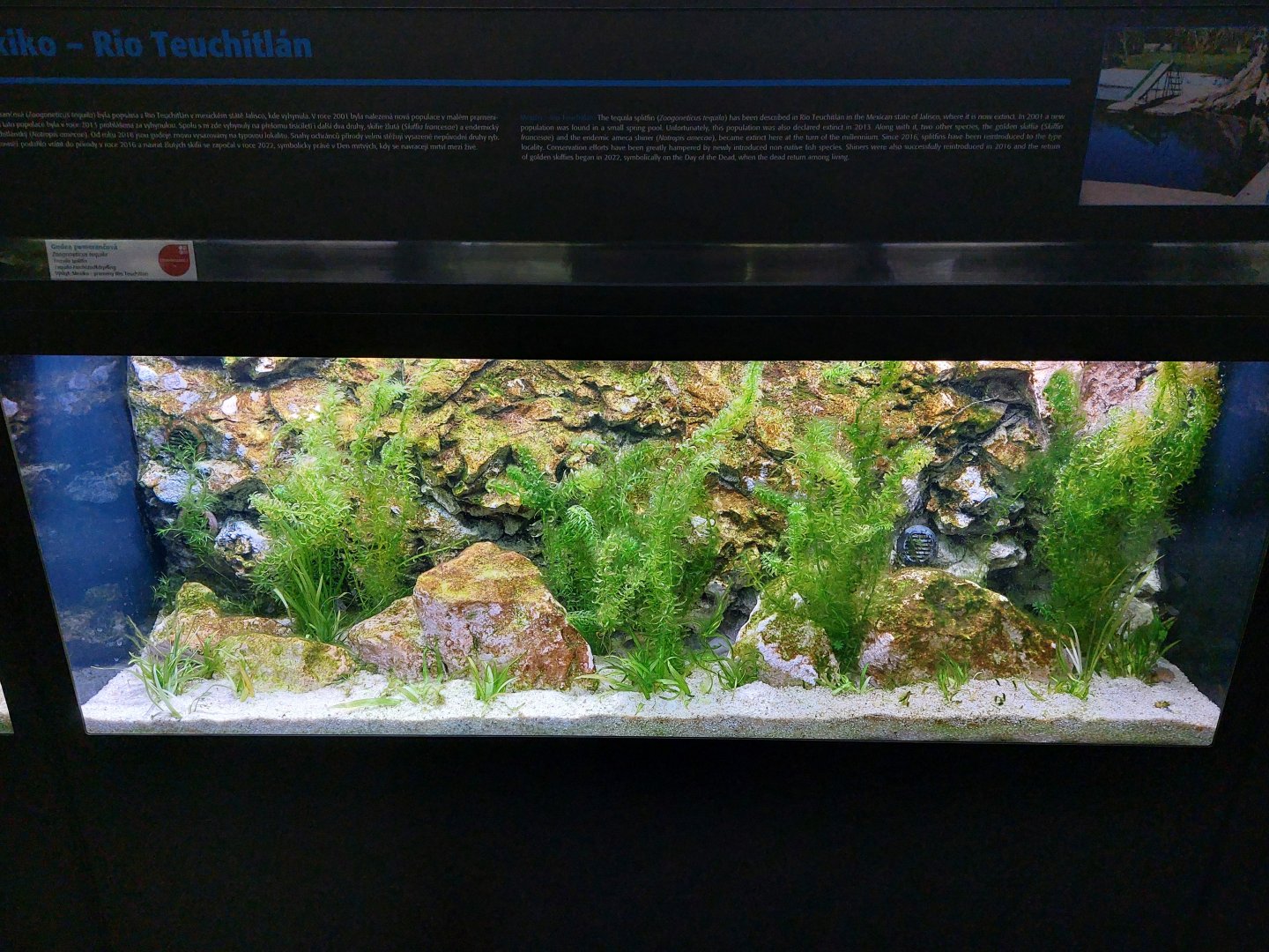 Fish Ark - Mexico - Rio Teuchitlán