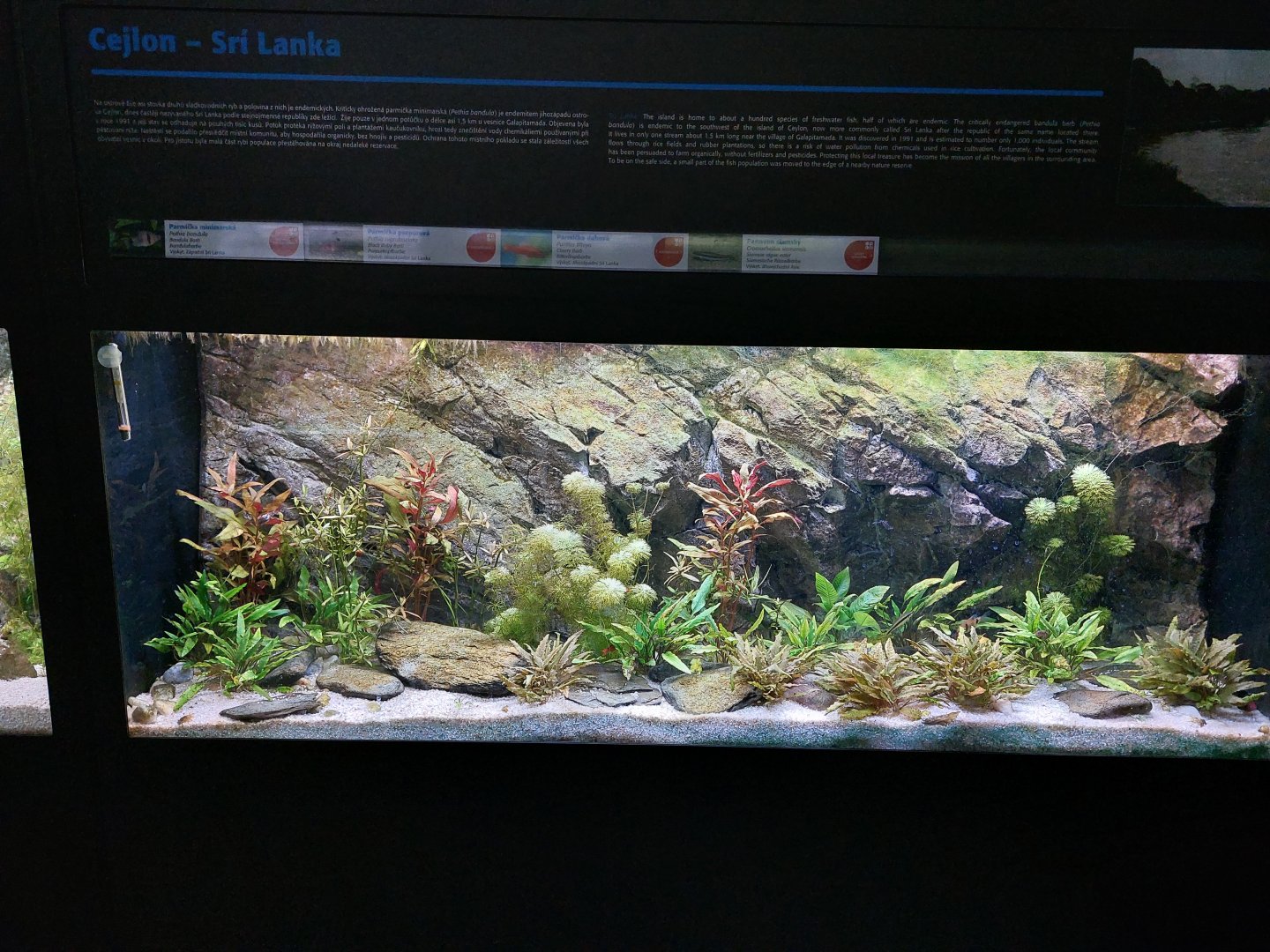 Fish Ark - Sri Lanka