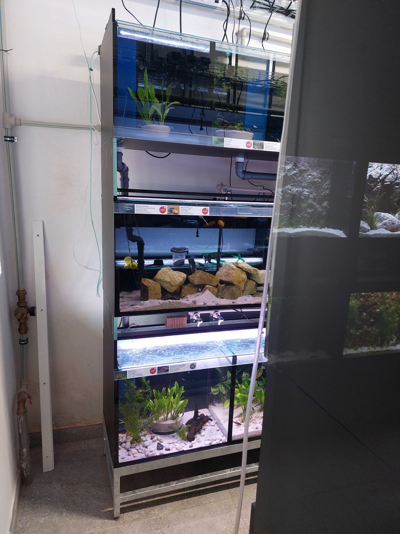 Fish Ark - window to the off-shows