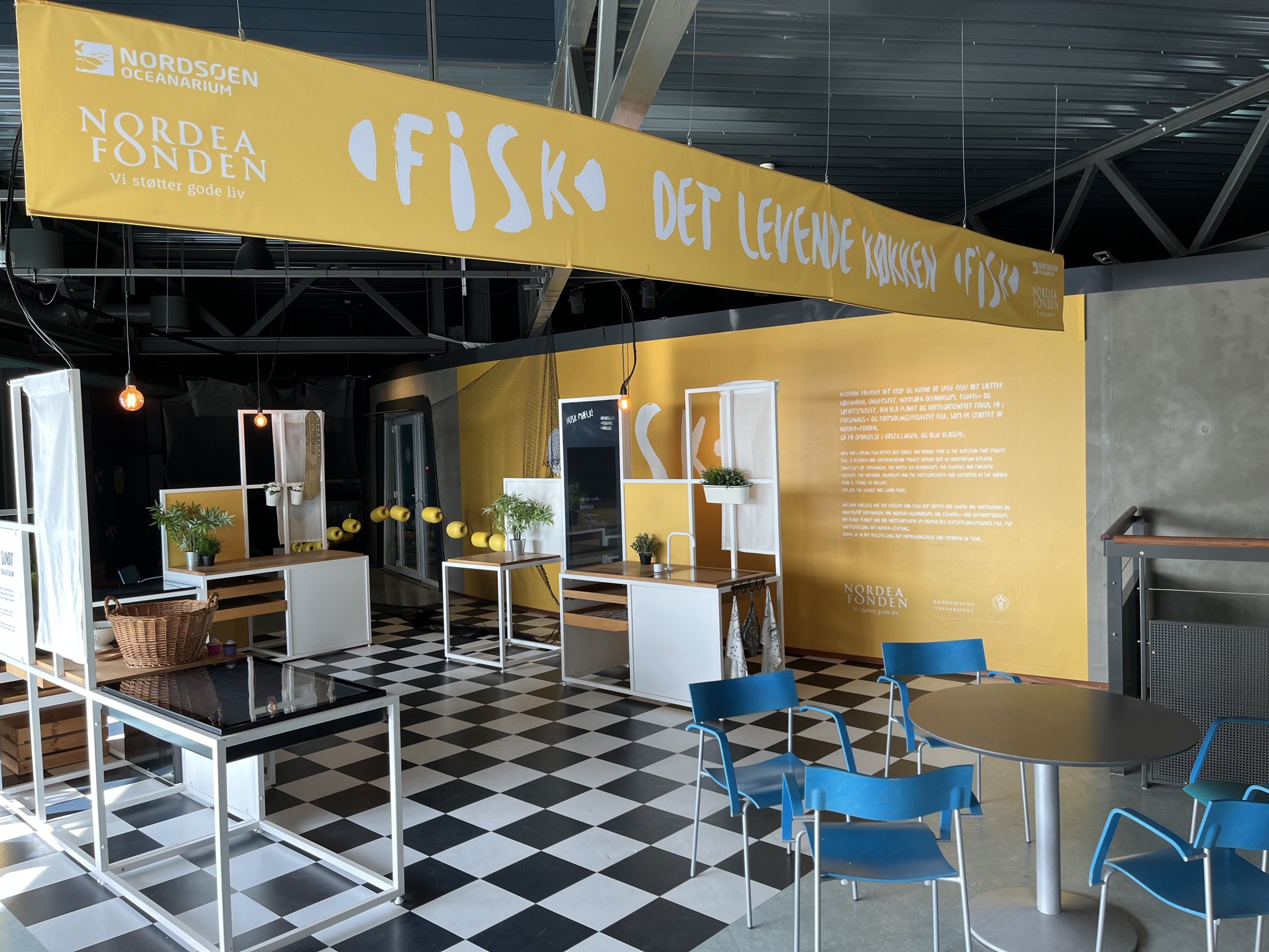 Fish as Food Display