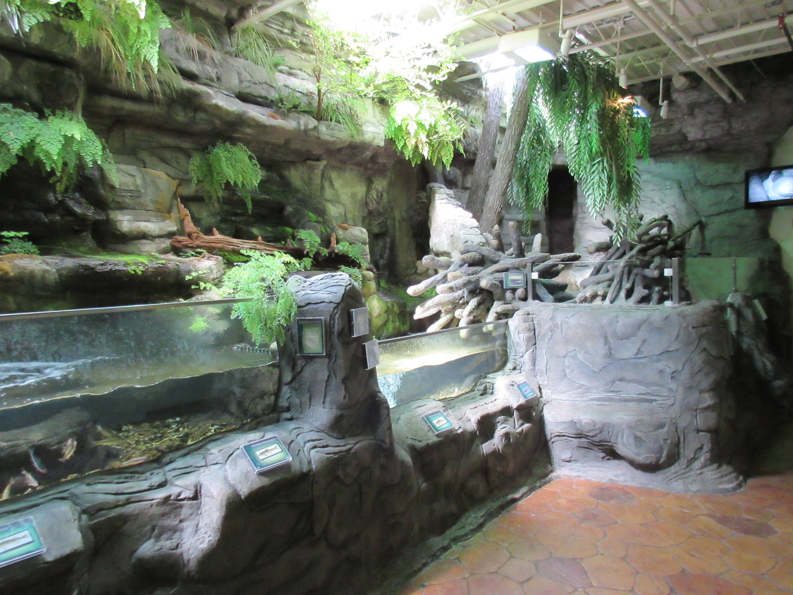 Fish + Beaver Exhibits