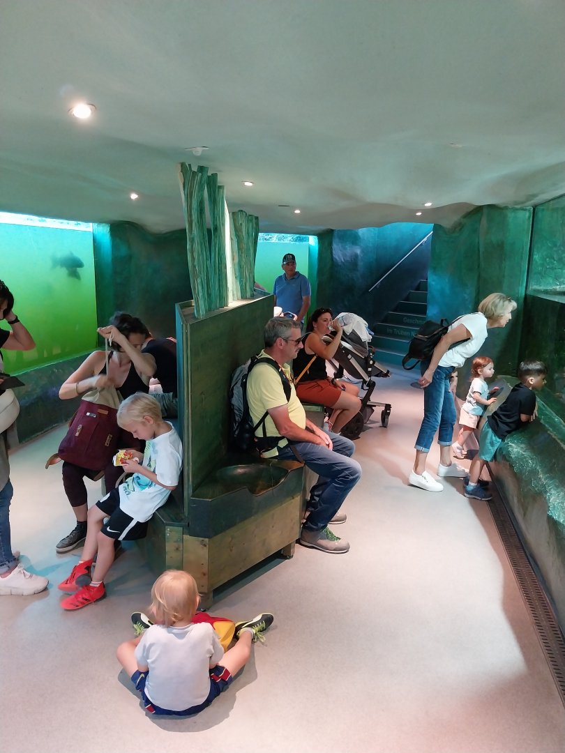 Fish & Bird tour - Aquarium