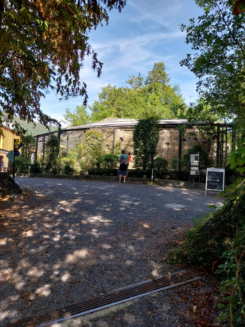 Fish & Bird tour - Bird aviaries