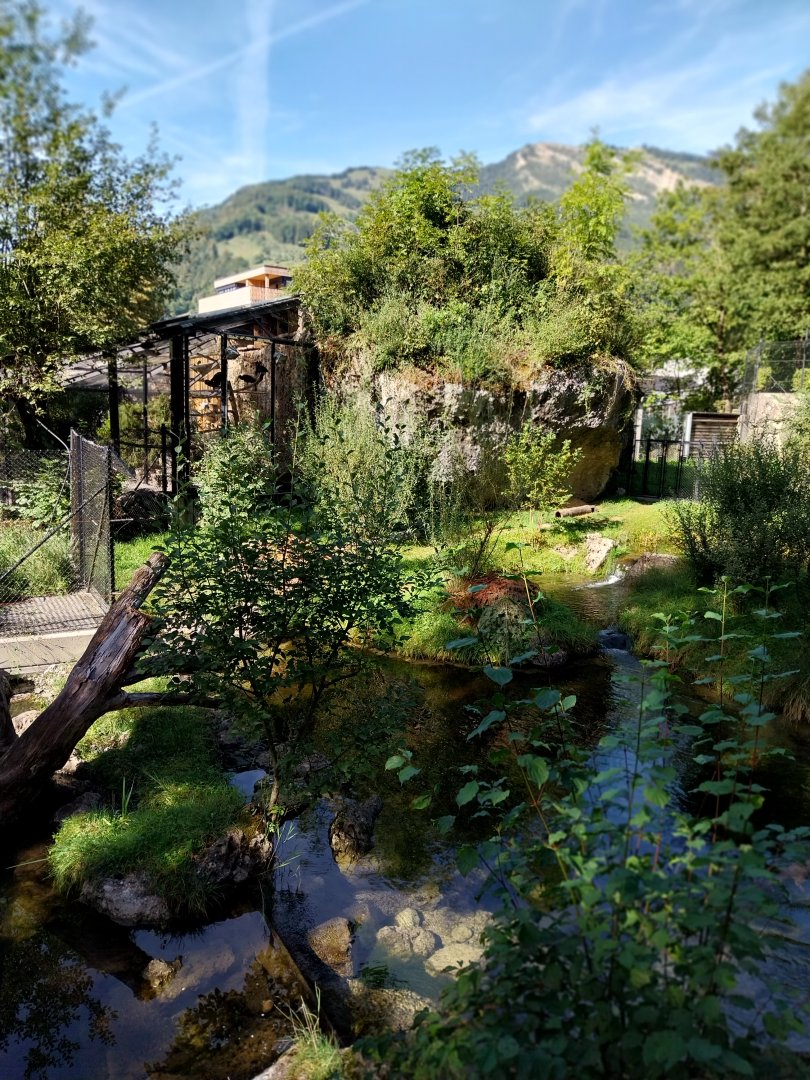 Fish & Bird tour - Eurasian otter enclosure