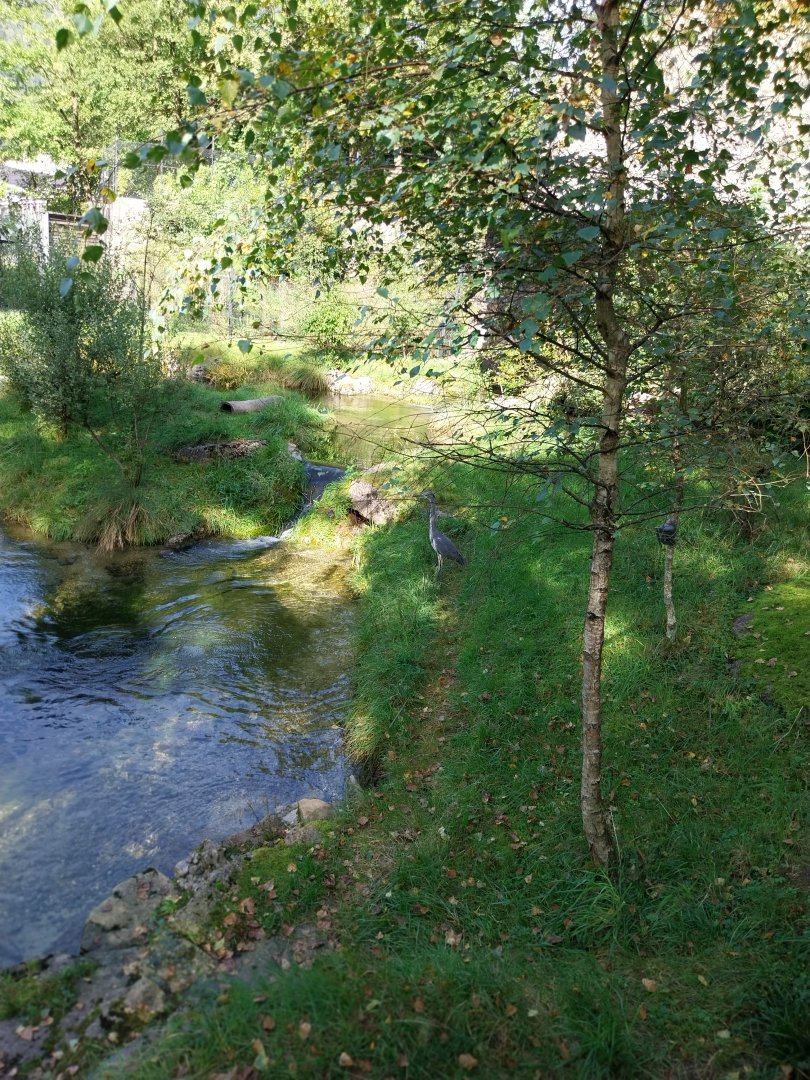 Fish & Bird tour - Eurasian otter enclosure