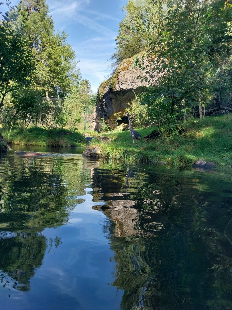 Fish & Bird tour - Eurasian otter enclosure
