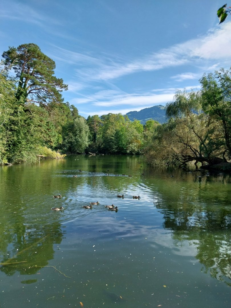 Fish & Bird tour - General view