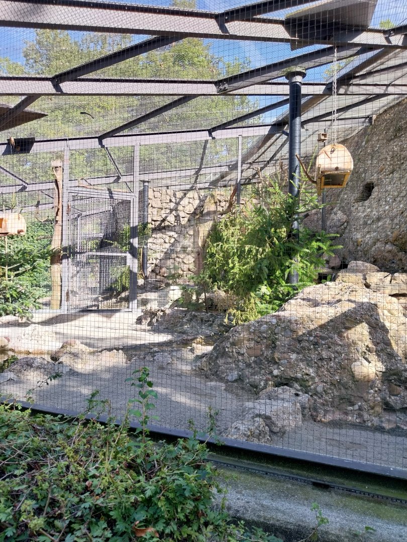 Fish & Bird tour - Mixed species aviary