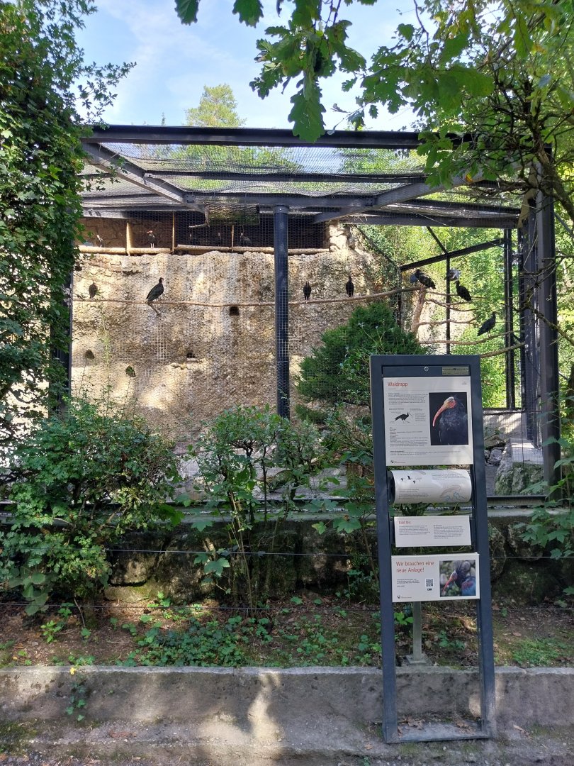 Fish & Bird tour - Waldrapp aviary