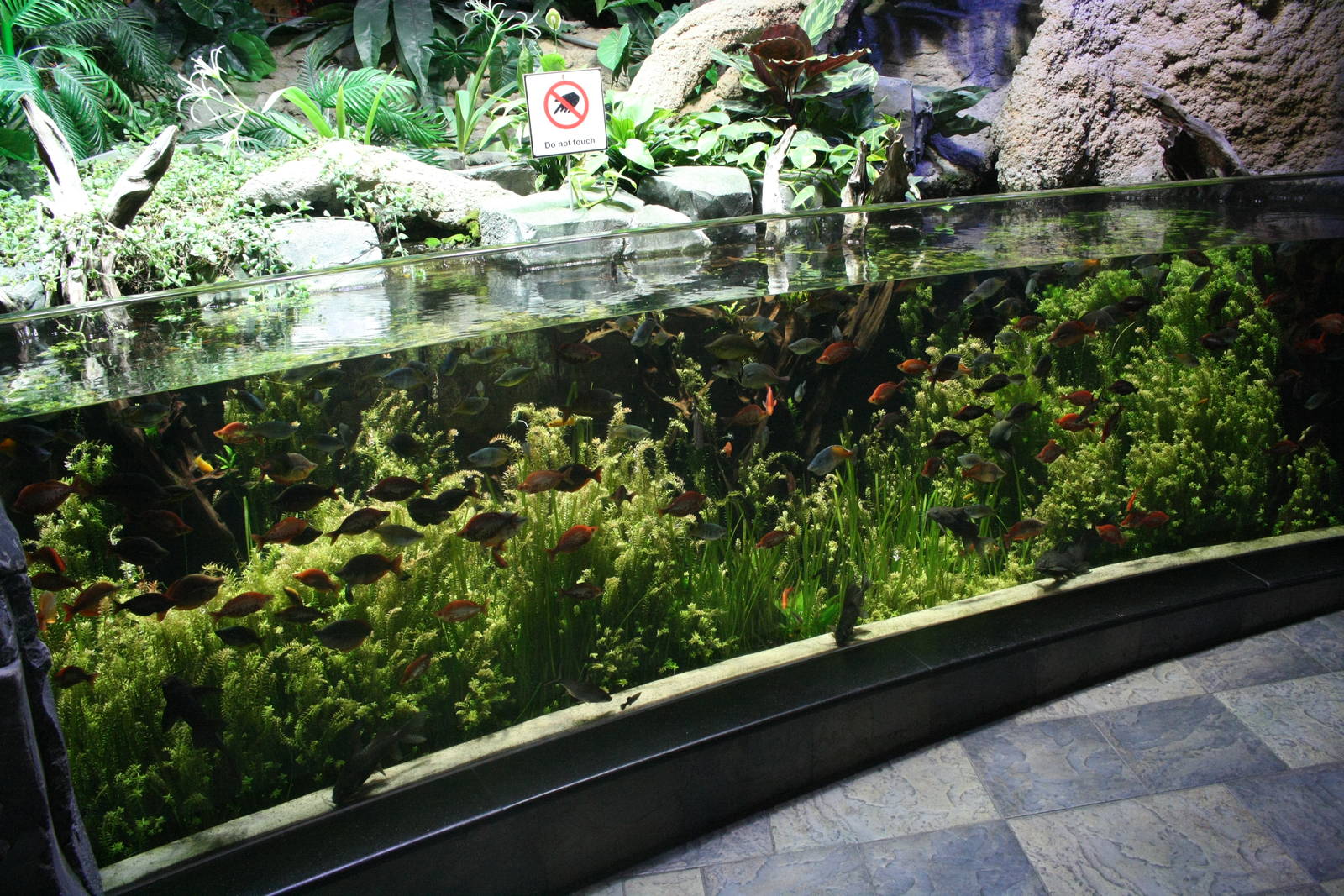 Fish exhibit.